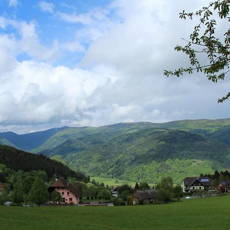 Les 4 Saisons Hotel Kruth Kültér fotó