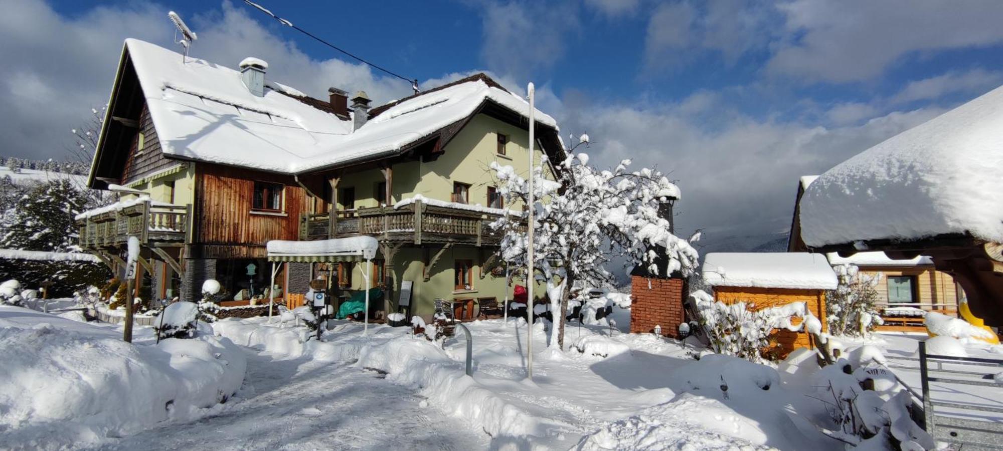 Les 4 Saisons Hotel Kruth Kültér fotó