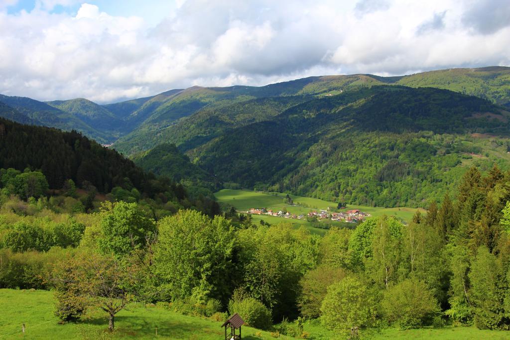 Les 4 Saisons Hotel Kruth Kültér fotó