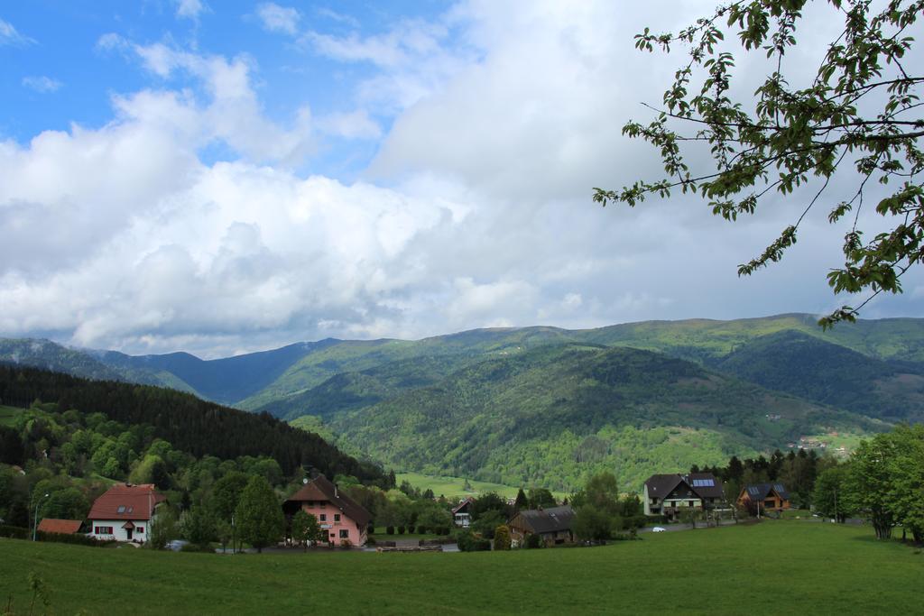 Les 4 Saisons Hotel Kruth Kültér fotó